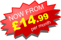 Special Offer